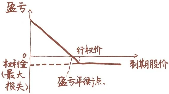 买入认沽期权的到期盈亏图
